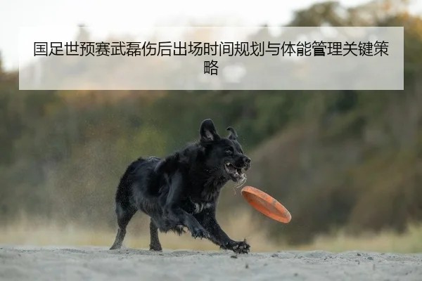 guo-zu-shi-yu-sai-wu-lei-shang-hou-chu-chang-shi-jian-gui-hua-yu-ti-neng-guan-li-guan-jian-ce-lve-2-224.jpg